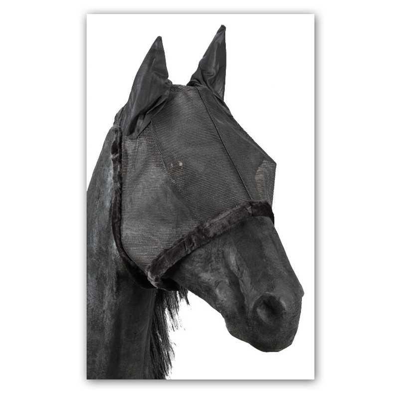 Mosquero De Redecilla Para Paddock