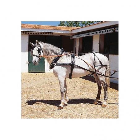 Enganche Con Collerón Extra Para Dos Caballos