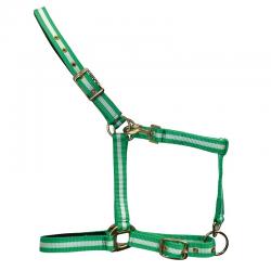 Cabezada De Nylon Económica Con Refuerzo De Cuero