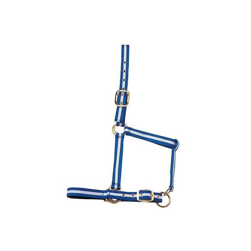 Cabezada De Nylon Con Refuerzo Elastotex Y Ojetes