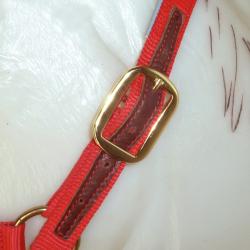 Cabezada Marjoman De Nylon Doble Con Refuerzos De Cuero