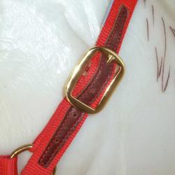 Cabezada Marjoman De Nylon Doble Con Refuerzos De Cuero