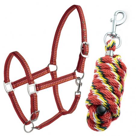 Conjunto De Cabezada Daslö + Ramal