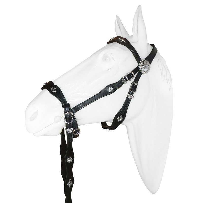 Bitless Bridle Marjoman De Cortesia Con Riendas