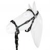 Bitless Bridle Marjoman De Cortesia Con Riendas