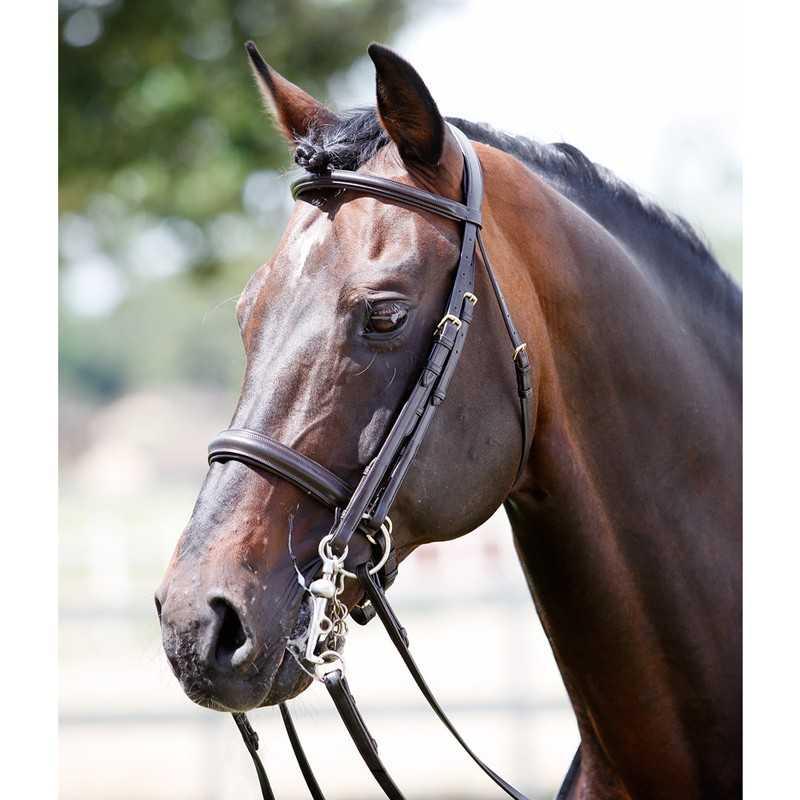 Cabezada Tattini Para Bocado Y Filete