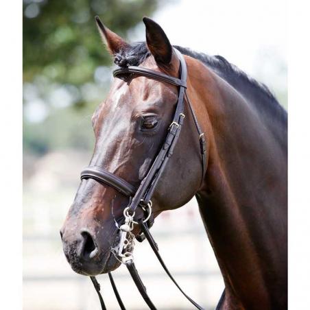 Cabezada Tattini Para Bocado Y Filete