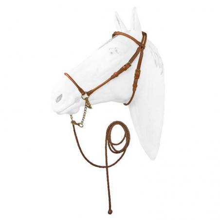 Cabezada Marjoman De Presentacion Árabe Cosida En Redondo