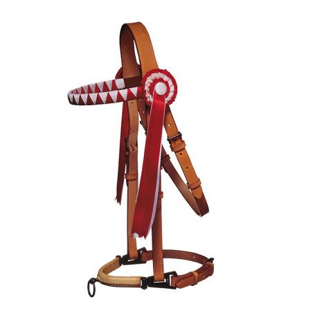 Cabezada Marjoman De Presentación Especial Con Cucardas