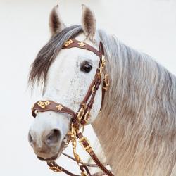 Cabezada Marjoman Modelo Portugués De Cortesía Doble Rienda