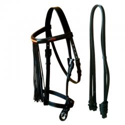 Cabezada Marjoman Jerezana Con Bandera