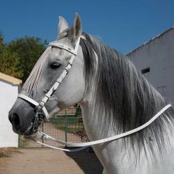 Cabezada Marjoman Española Con Riendas