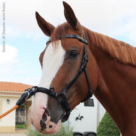 Cabezada Marjoman De Doma Con Serretón De 3 Pilares Y Anilla Lateral