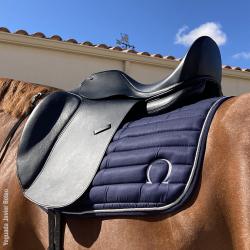 Silla Doma Omega Puentes Intercambiables