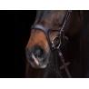 Cabezada -Anatomic Sports-