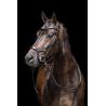 Cabezada -Anatomic Sports-