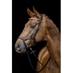 Cabezada -Pro Anatomic-