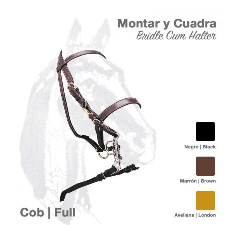 Cabezada Cuadra Montar Cuero 1592