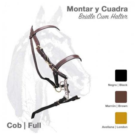  Cabezada Cuadra Montar Cuero 1592