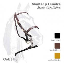  Cabezada Cuadra Montar Cuero 1592