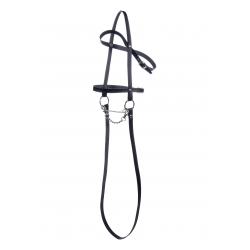 Hobby Horse