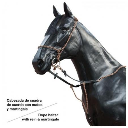  Cabezada Cuerda Con Martingala 497048p