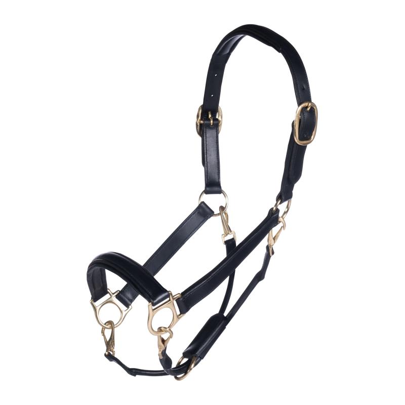 Cabezada De Cuero -Gold-