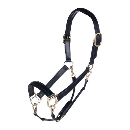 Cabezada De Cuero -Gold-