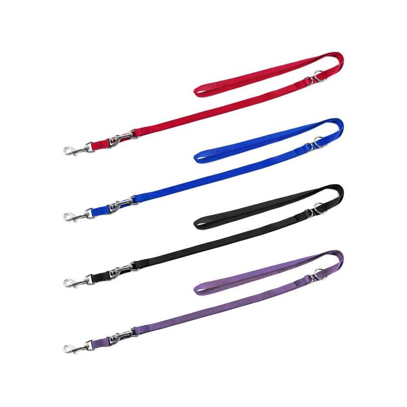 Driving Leash Trainer Model