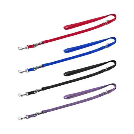 Driving Leash Trainer Model