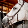 Cabezada Inglesa Horseware Micklem 2 Competition Bridle (Sin Riendas)
