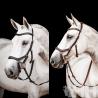 Cabezada Inglesa Horseware Micklem 2 Competition Bridle (Sin Riendas)