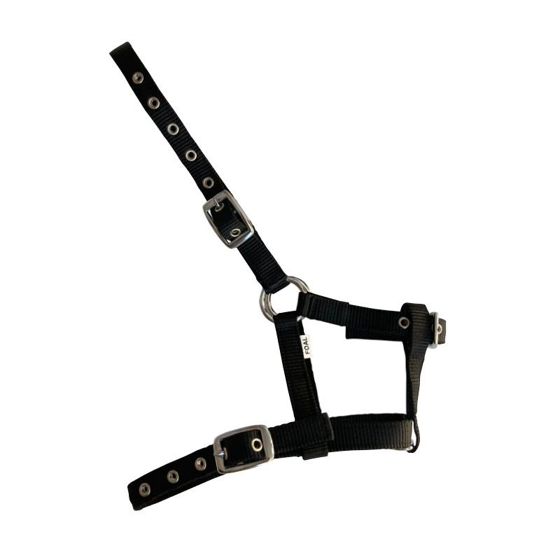 Cabezada De Nylon Para Potro