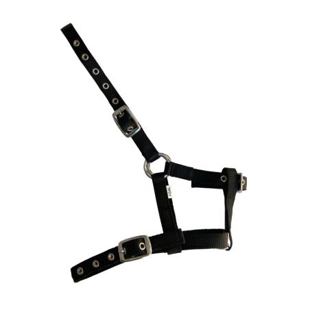 Cabezada De Nylon Para Potro