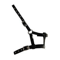 Cabezada De Nylon Para Potro