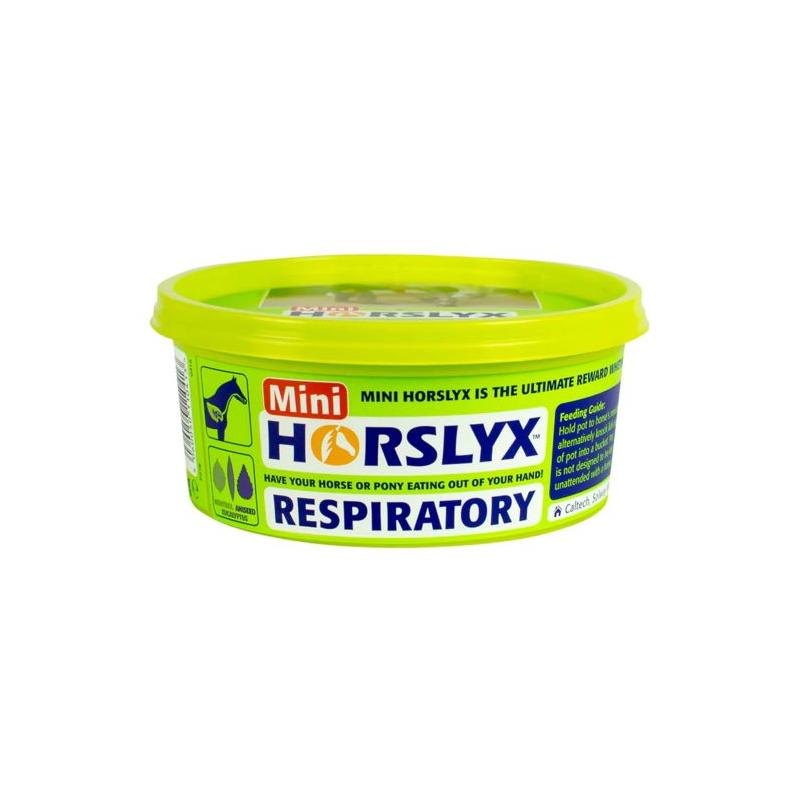 Horslyx Respiratory Mini 650G