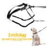 Perro Harness Maxi Leader Negro