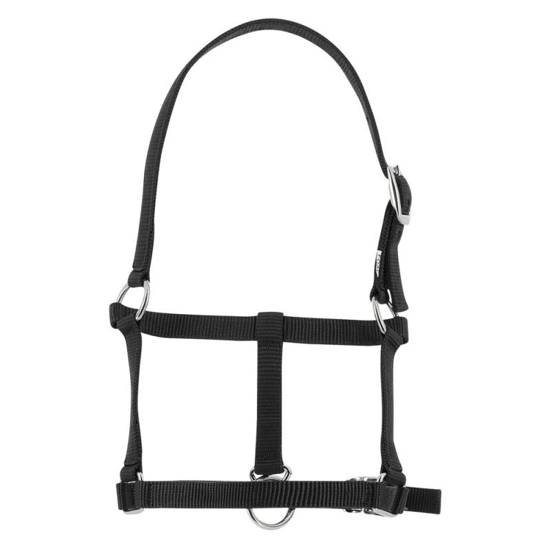 Cabezada De Cuadra Para Potro Riding World