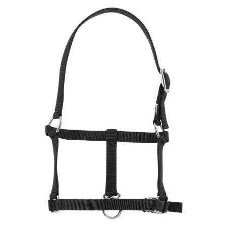 Cabezada De Cuadra Para Potro Riding World