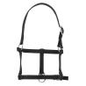 Cabezada De Cuadra Para Potro Riding World