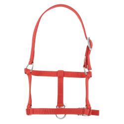 Cabezada De Cuadra Para Potro Riding World