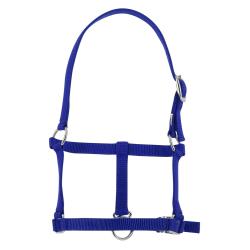 Cabezada De Cuadra Para Potro Riding World