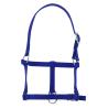Cabezada De Cuadra Para Potro Riding World