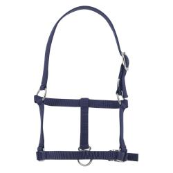 Cabezada De Cuadra Para Potro Riding World