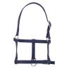 Cabezada De Cuadra Para Potro Riding World