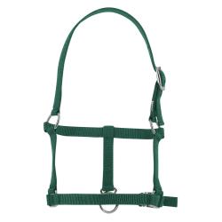 Cabezada De Cuadra Para Potro Riding World