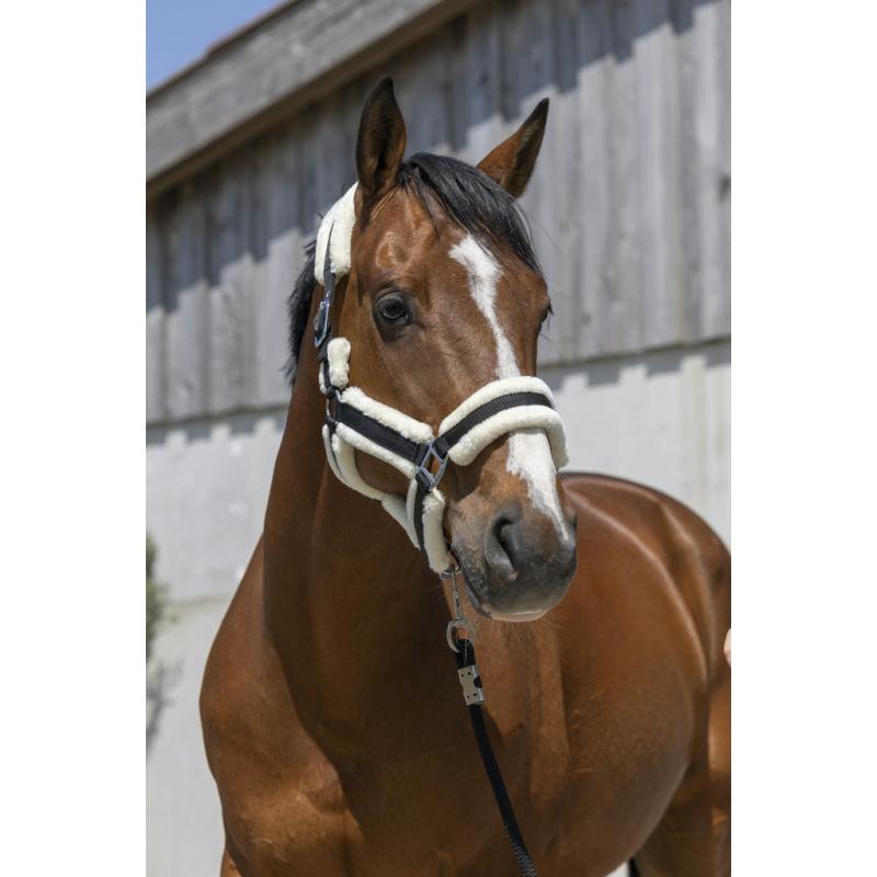 Cabezada De Cuadra Norton "Cosy"