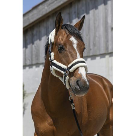 Cabezada De Cuadra Norton "Cosy"