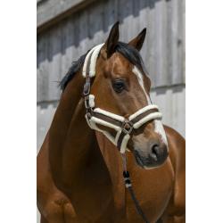 Cabezada De Cuadra Norton "Cosy"