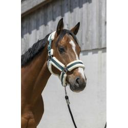 Cabezada De Cuadra Norton "Cosy"